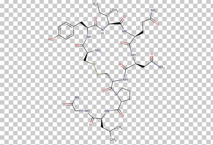 Peptide Synthesis Molecular Biology Chemical Synthesis Amino Acid PNG, Clipart, Amino Acid, Angle, Area, Biology, Chemical Synthesis Free PNG Download