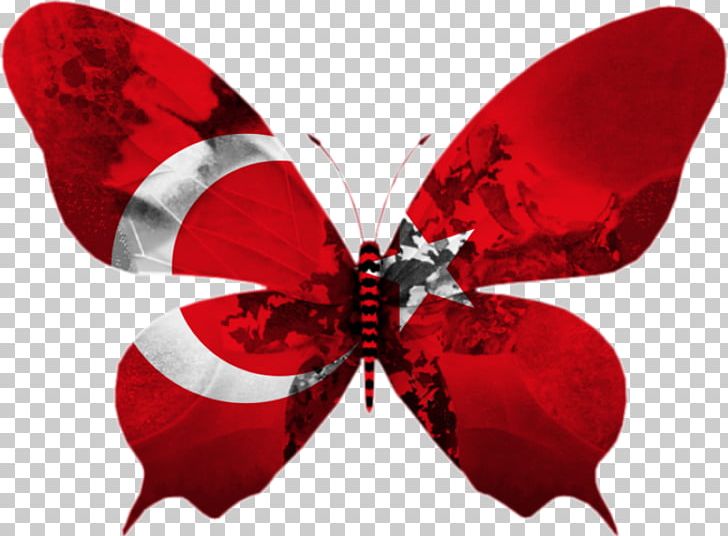 Flag Of Turkey Agar.io Eurovision Song Contest Flag Of Portugal PNG, Clipart, Agar.io, Agario, Arthropod, Butterfly, English Free PNG Download