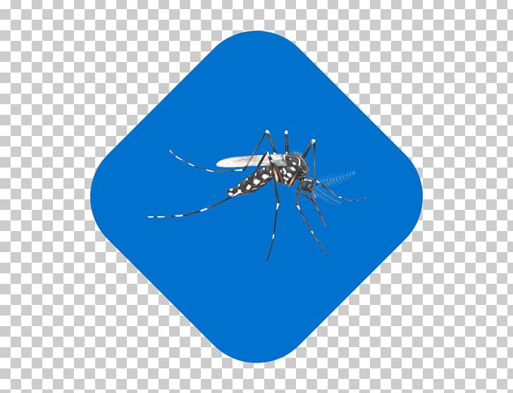 Mosquito Insect Line Microsoft Azure PNG, Clipart, Arthropod, Dengue, Electric Blue, Insect, Insects Free PNG Download