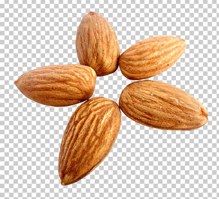 Nut Almond Apricot Kernel PNG, Clipart, Almond, Almond Milk, Almondy, Apricot Kernel, Commodity Free PNG Download