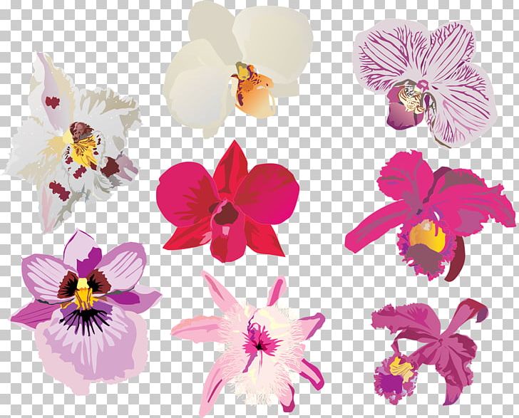 Orchids Flower PNG, Clipart, Cut Flowers, Element, Flower, Flowering Plant, Fond Blanc Free PNG Download