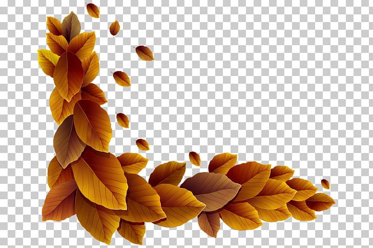Leaf Photography Others PNG, Clipart, Art, Autumn, Autumn Leaf Color, Corner, Document Free PNG Download