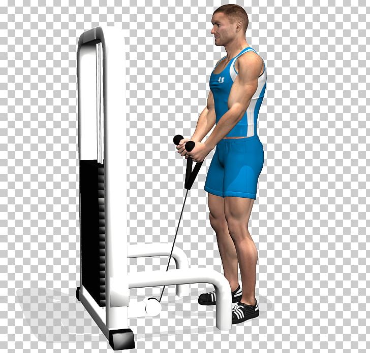 Biceps Curl Pulley Exercise Physical Fitness PNG, Clipart, Abdomen, Arm, Balance, Calf, Dumbbell Free PNG Download