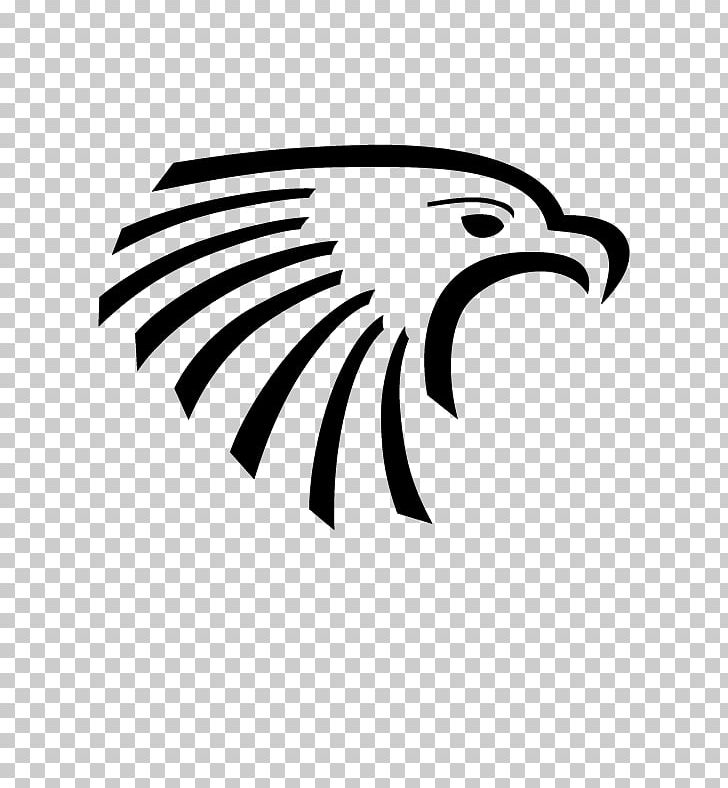 Atlanta Hawks Bald Eagle Sacopee Valley High School PNG, Clipart, Atlanta Hawks, Bald Eagle, Basketball, Beak, Bird Free PNG Download