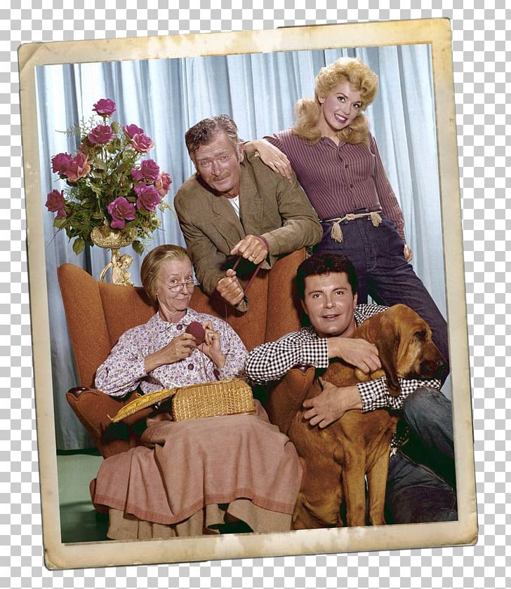 Blu-ray Disc Elly May Clampett DVD Television Show PNG, Clipart, Actor, Beverly Hillbillies, Bluray Disc, Buddy Ebsen, Cousin Marriage Free PNG Download