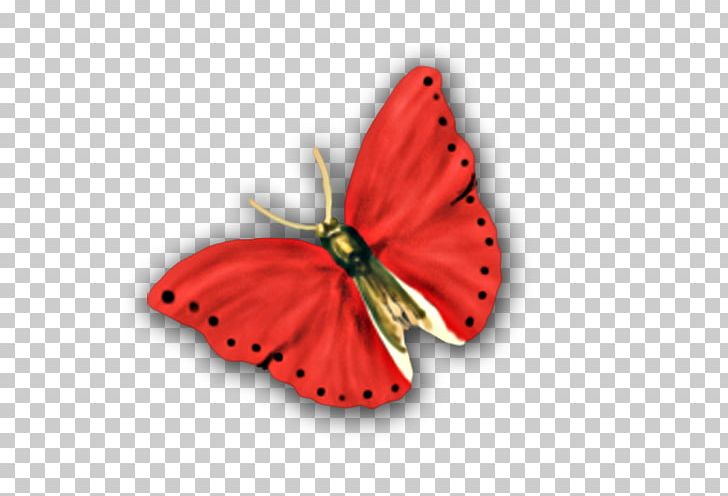Butterfly Nymphalidae PNG, Clipart, 1000000, Arthropod, Brush Footed Butterfly, Butterfly, Copyright Free PNG Download
