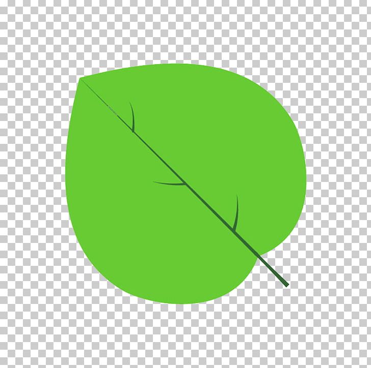 Circle Leaf Angle PNG, Clipart, Angle, Catalpa, Circle, Education Science, Grass Free PNG Download