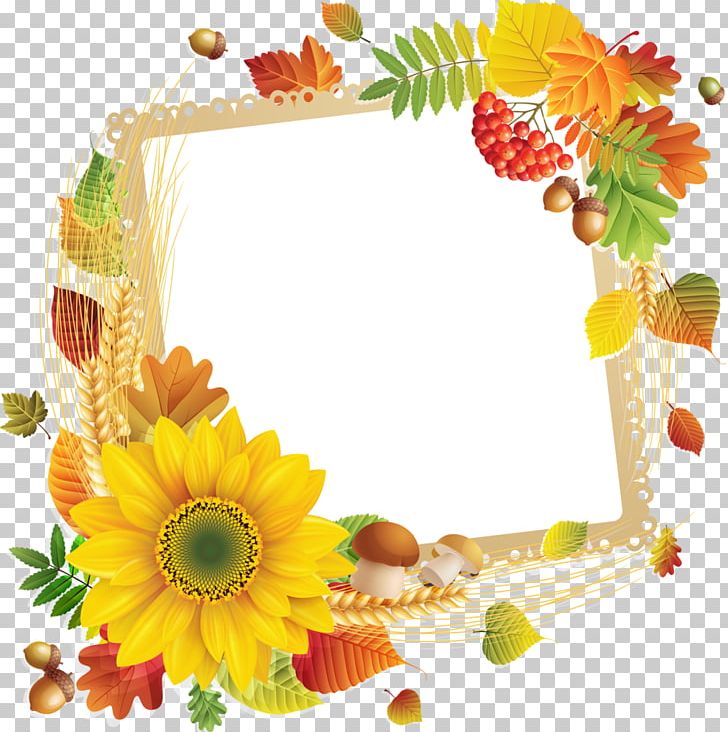 Floral Design Frames Flower Google PNG, Clipart, Anniversaire, Cut Flowers, Decor, Floral Design, Floristry Free PNG Download