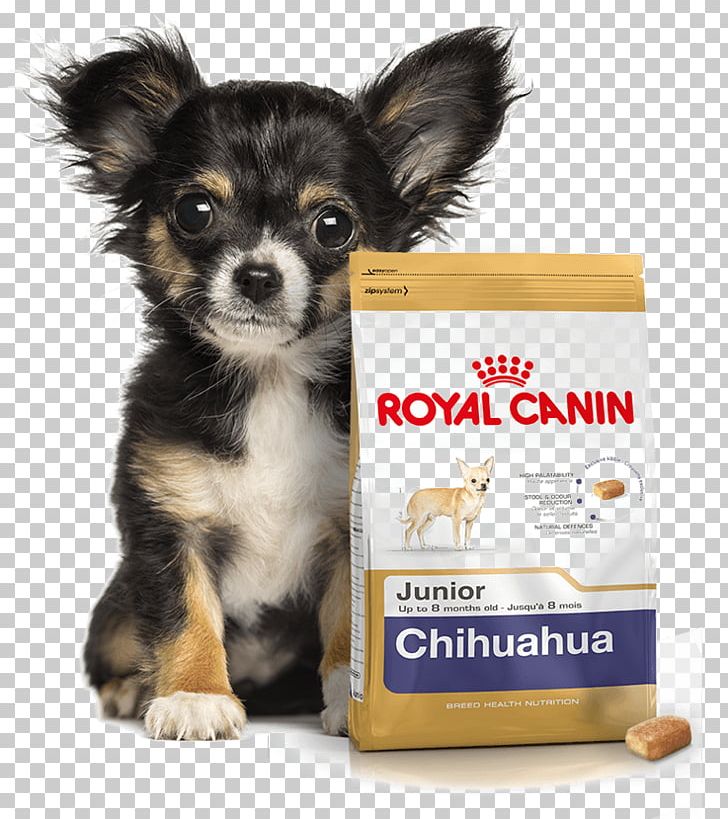 Chihuahua Bichon Frise Cat Food Puppy Yorkshire Terrier PNG, Clipart, Animals, Bichon Frise, Carnivoran, Cat, Cat Food Free PNG Download