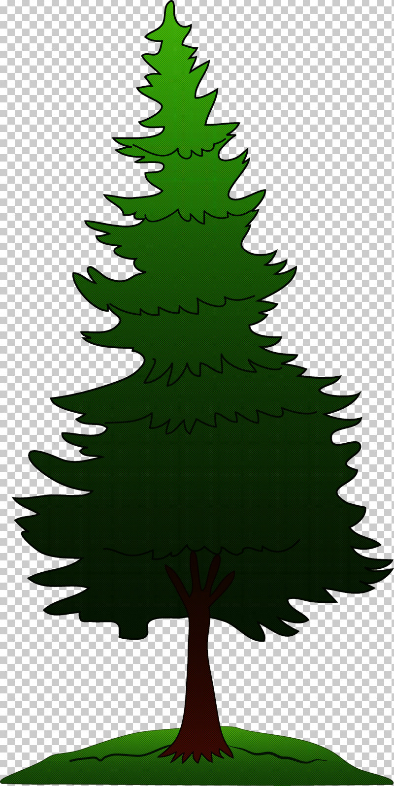 Christmas Tree PNG, Clipart, Christmas Tree, Colorado Spruce, Leaf, Lodgepole Pine, Oregon Pine Free PNG Download