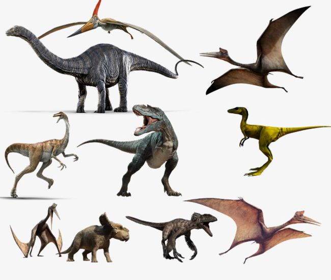 All Kinds Of Dinosaurs PNG, Clipart, Animals, Dinosaur, Dinosaurs Clipart, Extinct, Extinct Animals Free PNG Download