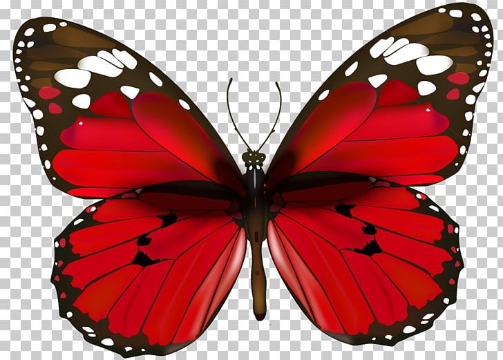 Butterfly Desktop PNG, Clipart, 3d Computer Graphics, Arthropod, Blue, Brush Footed Butterfly, Butterflies And Moths Free PNG Download