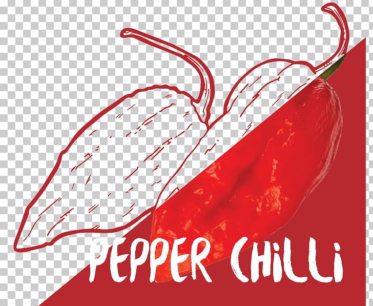 Chili Pepper Cayenne Pepper Bell Pepper Peperoncino Malagueta Pepper PNG, Clipart, Bell Pepper, Bell Peppers And Chili Peppers, Capsicum Annuum, Cauliflower Carrot Cucumber, Cayenne Pepper Free PNG Download