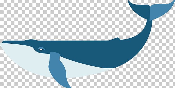 Dolphin Porpoise Beak Bird PNG, Clipart, Animals, Beak, Bird, Blue, Blue Whale Free PNG Download