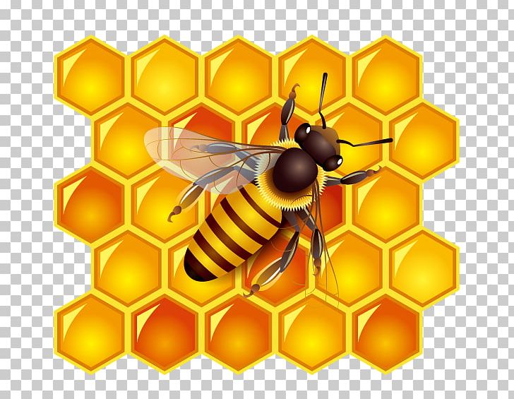 Honey Bee Honey Bee Honeycomb PNG, Clipart, Arthropod, Bee, Beehive, Bee Hive, Bee Honey Free PNG Download