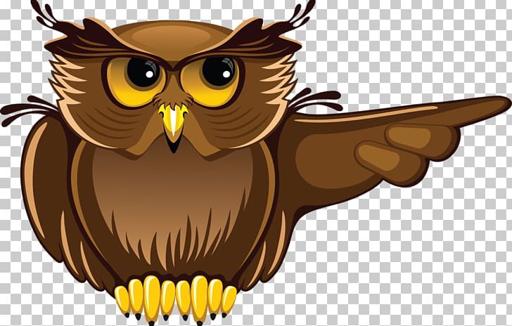 Owl Student Teacher PNG, Clipart, Academic Degree, Animal, Animals, Balloon Cartoon, Beak Free PNG Download