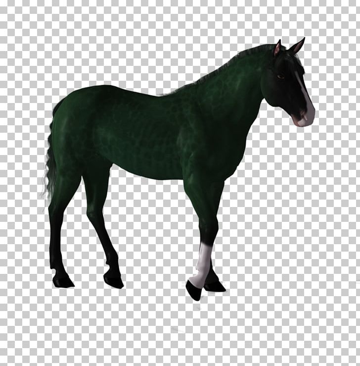 Stock Photography Horse Pony PNG, Clipart, Animal Figure, Animals, Bridle, Can Stock Photo, Depositphotos Free PNG Download