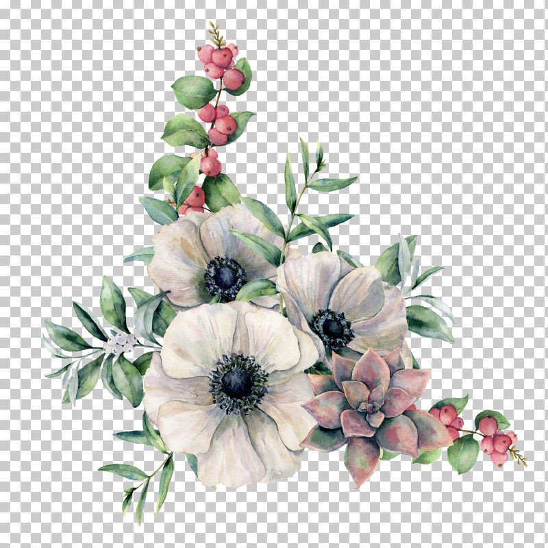Anemone Flower Watercolor Painting Gum Trees Branch PNG, Clipart, Anemone, Branch, Buttercup, Color, Flower Free PNG Download