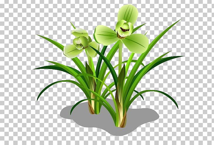 Herbaceous Plant Green PNG, Clipart, Cartoon, Croquis, Flora, Flower, Flowering Plant Free PNG Download