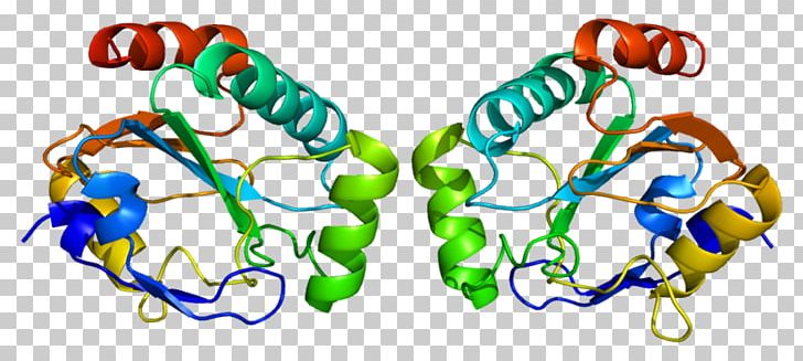 Homo Sapiens GPX7 GPX1 Glutathione Peroxidase Protein Data Bank PNG, Clipart, Body Jewelry, Ensembl, Enzyme, Gene, Glutathione Free PNG Download
