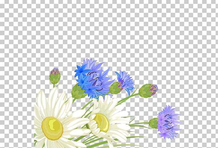 Blue Cut Flowers Chrysanthemum Floral Design PNG, Clipart, Annual Plant, Aster, Blue Flower, Blue Rose, Chrysanths Free PNG Download
