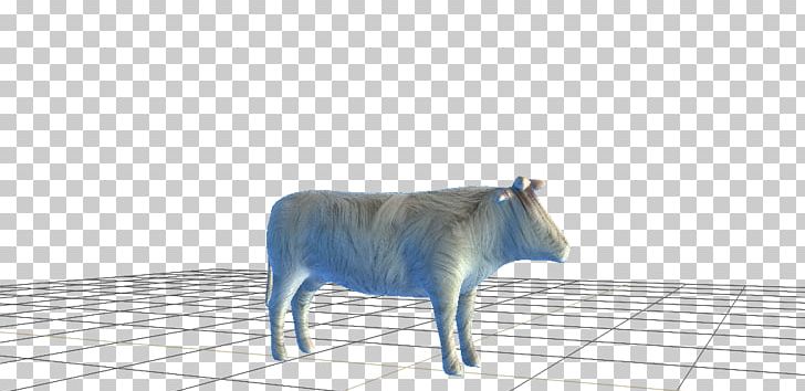 Cattle Wildlife Snout PNG, Clipart, Animal Figure, Cattle, Cattle Like Mammal, Cow Goat Family, Horn Free PNG Download