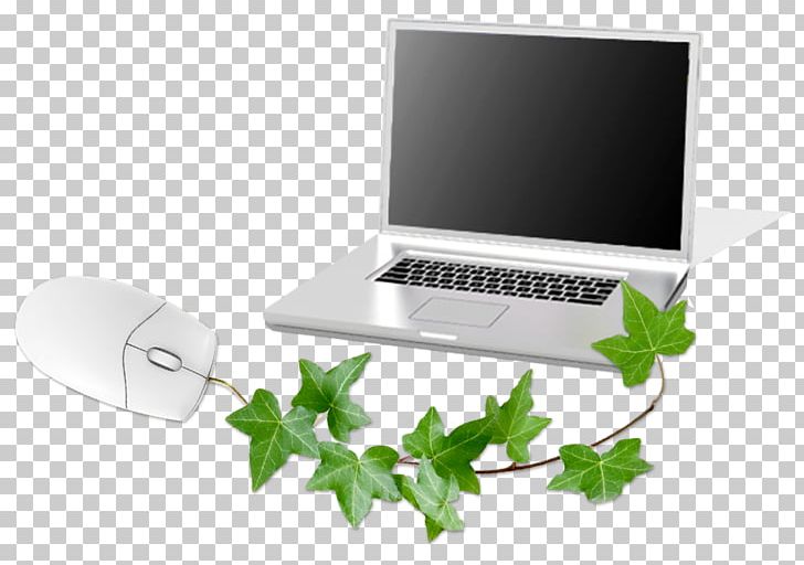 Computer Mouse PNG, Clipart, Background Green, Computer, Computer Mouse, Computer Program, Computer Science Free PNG Download