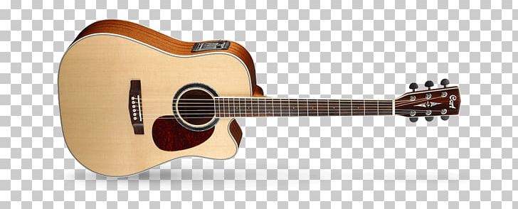 Cort Guitars Acoustic Guitar Acoustic-electric Guitar Dreadnought Cutaway PNG, Clipart,  Free PNG Download
