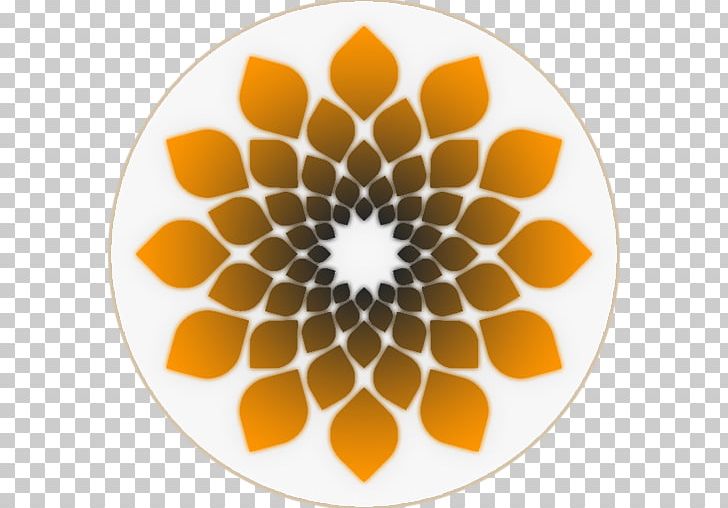 Flower Stock Photography PNG, Clipart, Circle, Drawing, Floral Design, Flower, Gents Free PNG Download