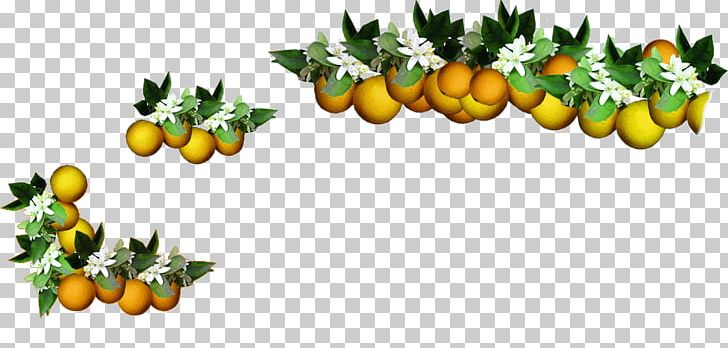 Orange Food Rangpur PNG, Clipart, Animaatio, Citrus, Commodity, Cut Flowers, Diet Food Free PNG Download
