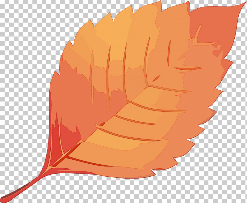 Orange PNG, Clipart, Autumn Leaf, Feather, Leaf, Orange, Paint Free PNG Download