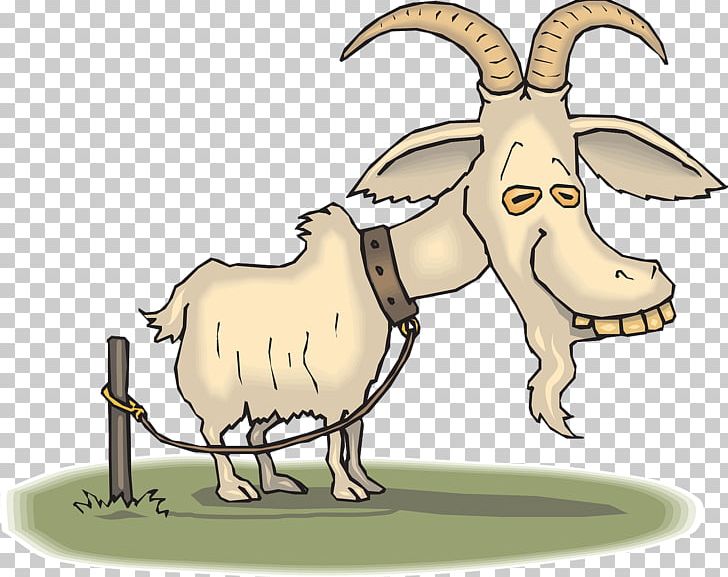 Boer Goat Angora Goat Sheep Zazzle PNG, Clipart, Animal, Animals, Cartoon, Cartoon Goat, Cattle Like Mammal Free PNG Download