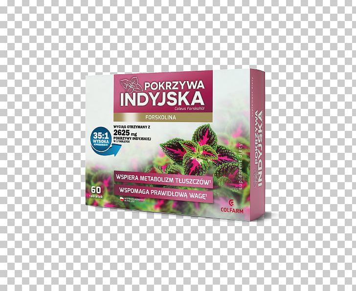 Dietary Supplement Plectranthus Barbatus Weight Loss Forskolin Tablet PNG, Clipart, Adipose Tissue, Capsule, Common Nettle, Diet, Dietary Supplement Free PNG Download
