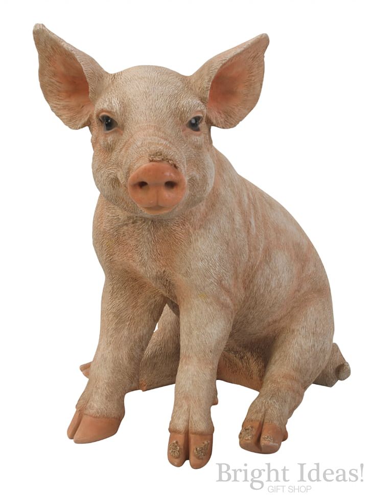 Large White Pig Miniature Pig Farm Animals: Pigs Pig Farming PNG, Clipart, Animal, Animals, Ceramic, Dog Breed, Domestic Pig Free PNG Download