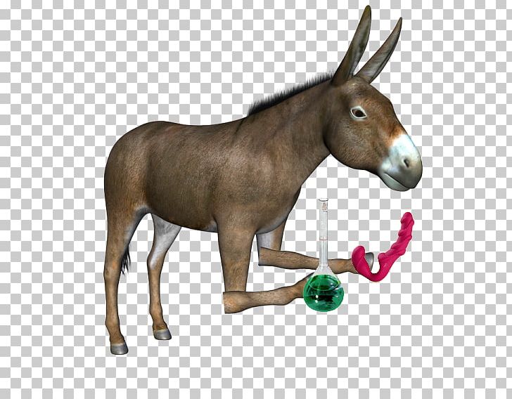 Mule Donkey PNG, Clipart, Animals, Donkey, Encapsulated Postscript, Horse, Horse Like Mammal Free PNG Download