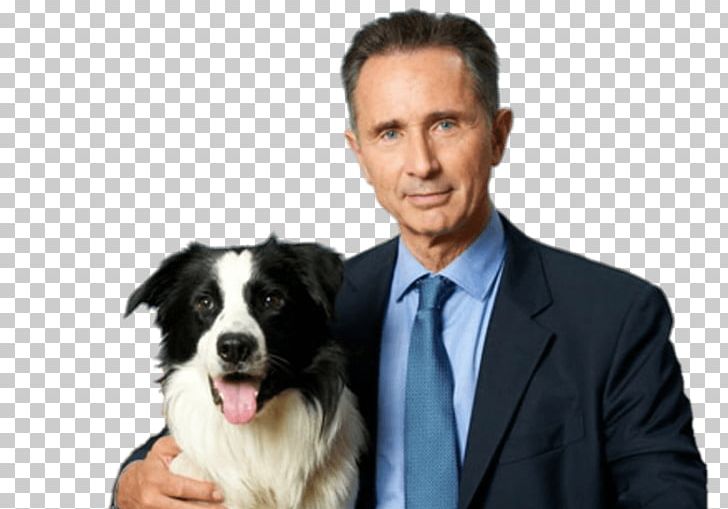 Thierry Lhermitte Doc Martin Actor Dog Breed Photography PNG, Clipart, Actor, Border Collie, Companion Dog, Doc Martin, Dog Free PNG Download