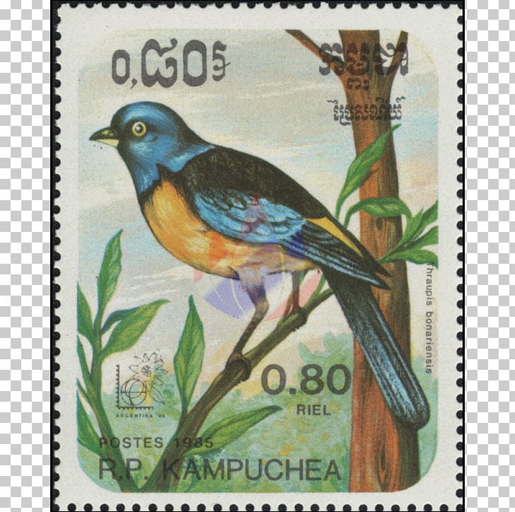 Advertising Airmail Postage Stamps Beak PNG, Clipart, Advertising, Airmail, Beak, Bird, Fauna Free PNG Download