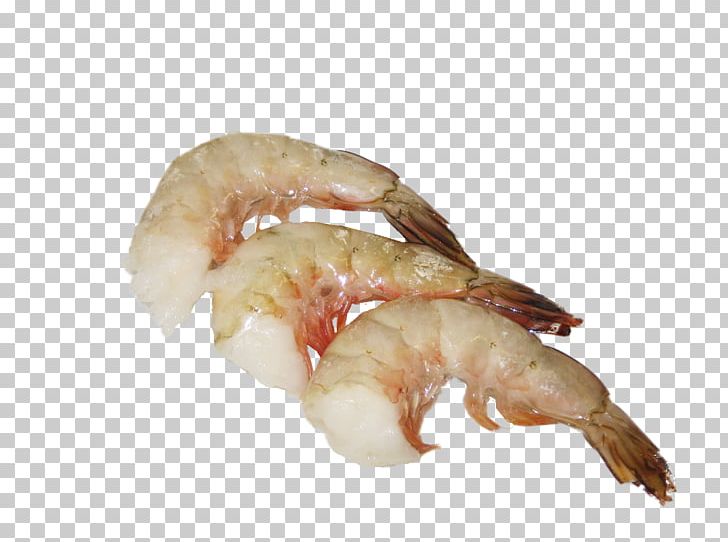 Caridea Lobster Shrimp Seafood Fettuccine Alfredo PNG, Clipart, Animals, Animal Source Foods, Caridea, Caridean Shrimp, Dendrobranchiata Free PNG Download