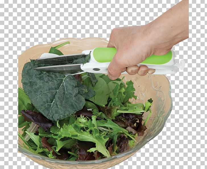 Romaine Lettuce Vegetarian Cuisine Spring Greens Spinach PNG, Clipart, Chopped, Food, Herb, La Quinta Inns Suites, Leaf Vegetable Free PNG Download