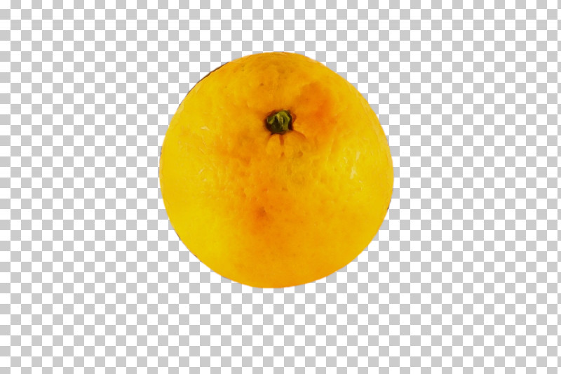 Orange PNG, Clipart, Citrus, Fruit, Grapefruit, Lemon, Orange Free PNG Download
