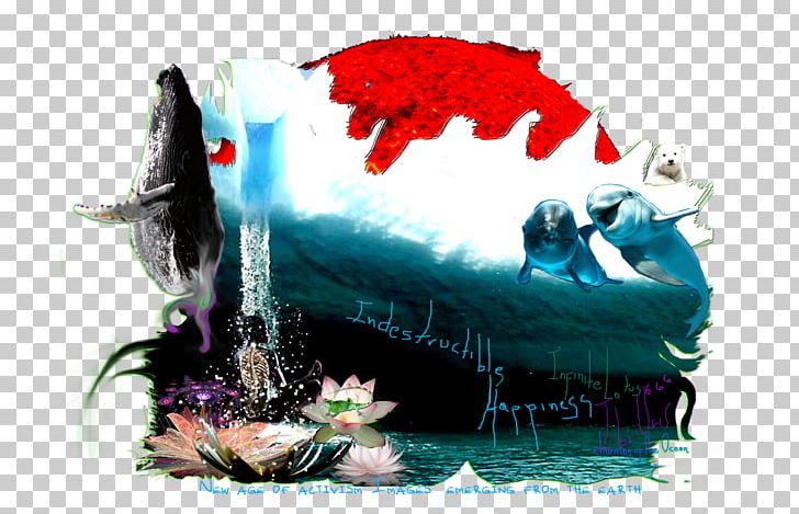 Fish Humpback Whale Cetacea PNG, Clipart, Activism, Animals, Cake, Cetacea, Fish Free PNG Download