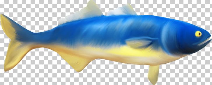 Shark Milkfish PNG, Clipart, Animal, Animals, Bony Fish, Cramp, Dots Per Inch Free PNG Download