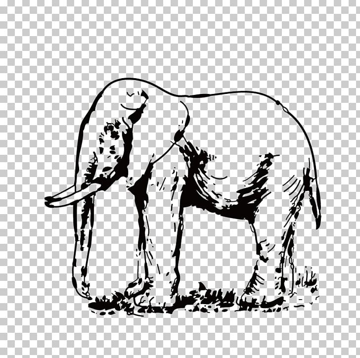 Asian Elephant White Elephant PNG, Clipart, Animal, Animals, Baby Elephant, Carnivoran, Cute Elephant Free PNG Download
