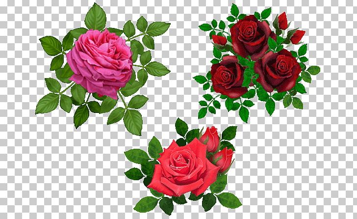 Beach Rose Flower PNG, Clipart, Annual Plant, Artificial Flower, Beach Rose, Computer Icons, Cut Flowers Free PNG Download