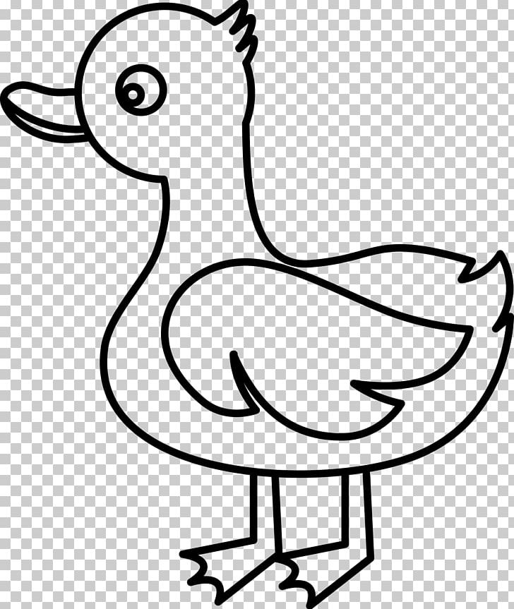 Duck Cygnini PNG, Clipart, Anatidae, Animals, Art, Artwork, Beak Free PNG Download