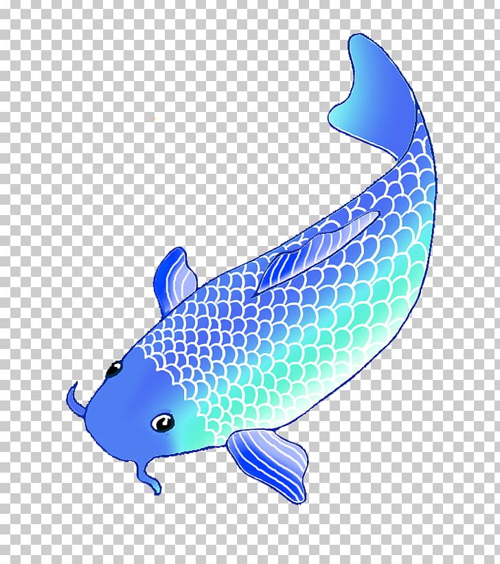 Koi Pond Fish Drawing PNG, Clipart, Animal, Animals, Blue, Carp, Color Free PNG Download