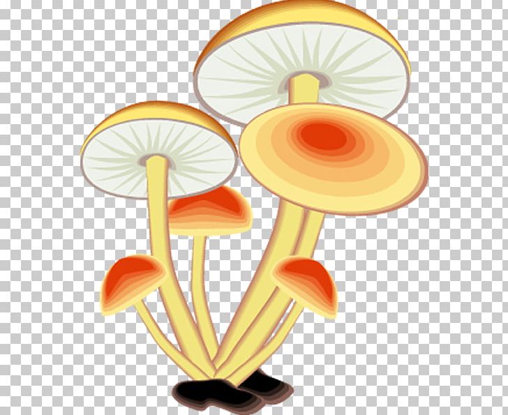 Sticker PNG, Clipart, Art, Bacteria, Mushroom, Orange, Orange Sa Free PNG Download