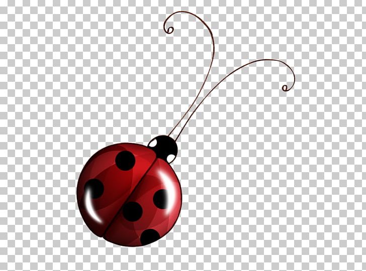 Beetle Seven-spot Ladybird PNG, Clipart, Animals, Asian Lady Beetle, Beetle, Body Jewelry, Cartoon Free PNG Download