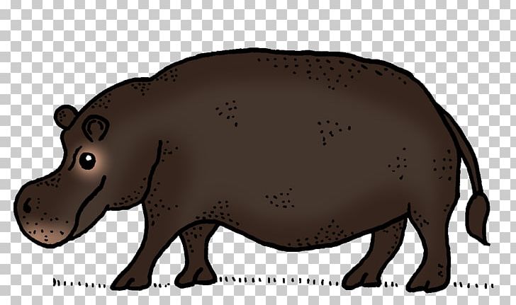 Pig Cattle Wildlife Fauna Snout PNG, Clipart, Animal, Animals, Animated Cartoon, Bear, Carnivoran Free PNG Download