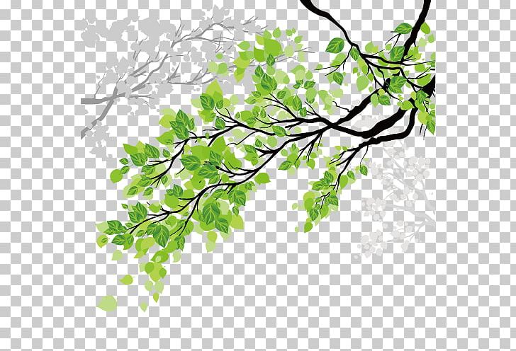 Window Sticker Wall Decal Branch PNG, Clipart, Adhesive, Autumn Leaves, Banana Leaves, Decal, Decorative Arts Free PNG Download